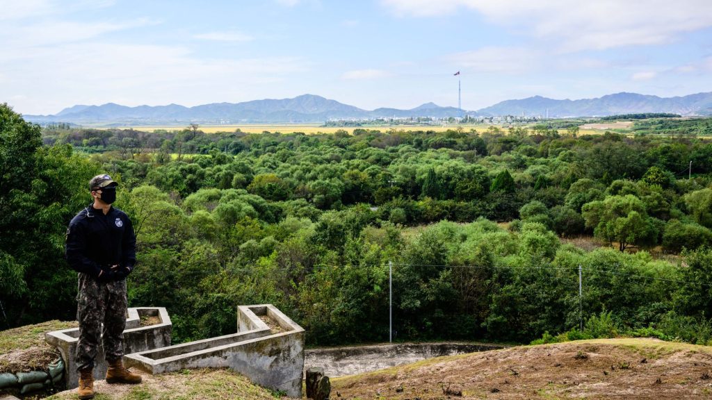 Visszahódította a természet a koreai demilitarizált zónát