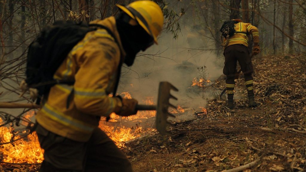 Nőtt a chilei erdőtüzek halálos áldozatainak száma