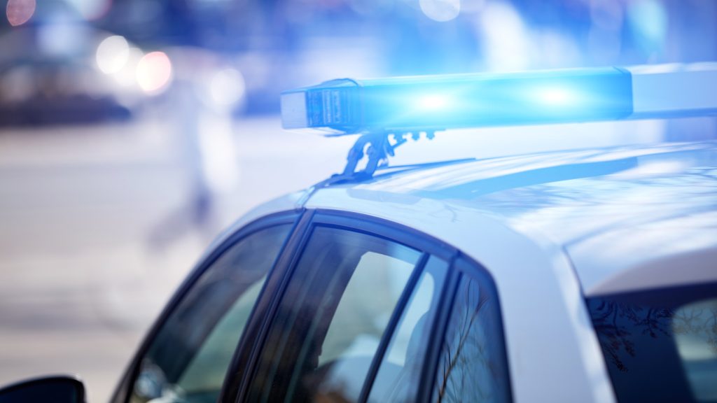 Állatkínzás miatt kell felelnie egy rókacsapdát felállító férfinak