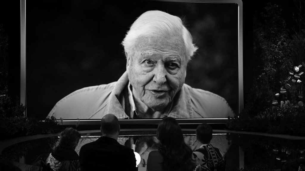 A BBC nem adja le David Attenborough egyik dokumentumfilmjét, mert fél a jobboldal kritikájától