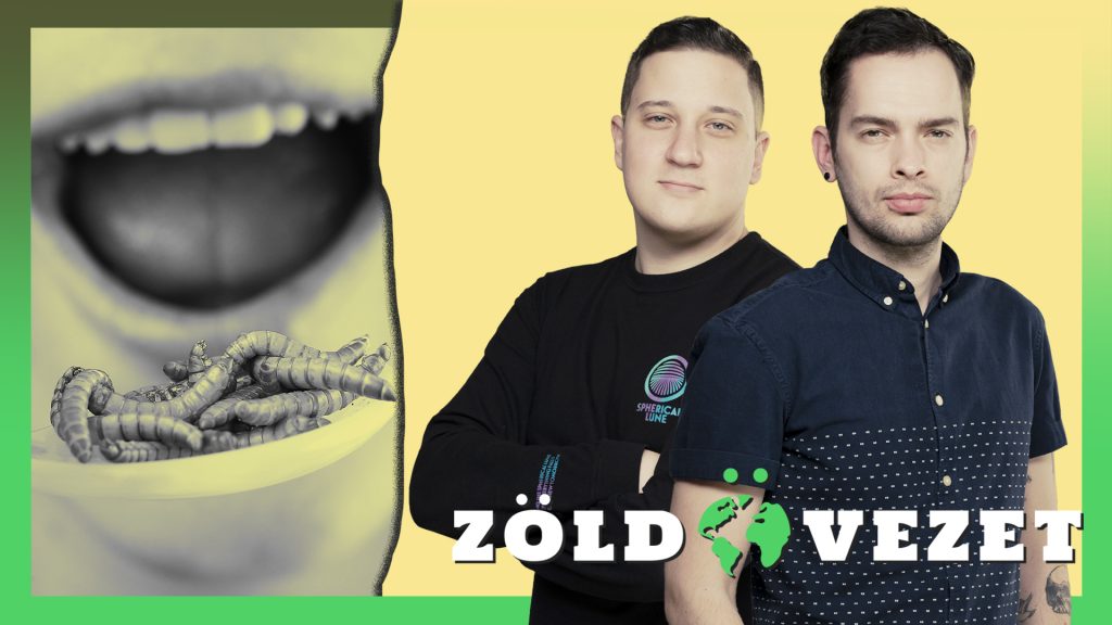 Idegen a kultúránktól a rovarevés, de megszokható