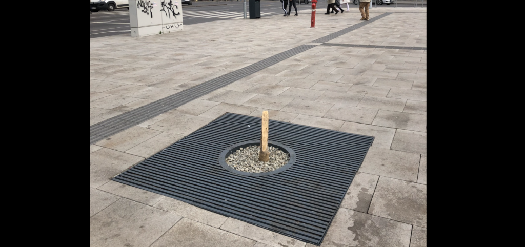 Valaki kitépte a felújított Blaha Lujza tér egyik fáját