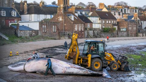 Jane Barlow / PA Images / Getty Images