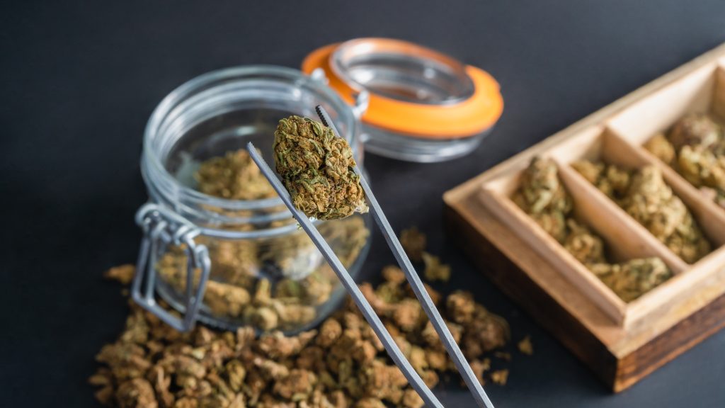 Még idén legalizálhatják a marihuánát Németországban