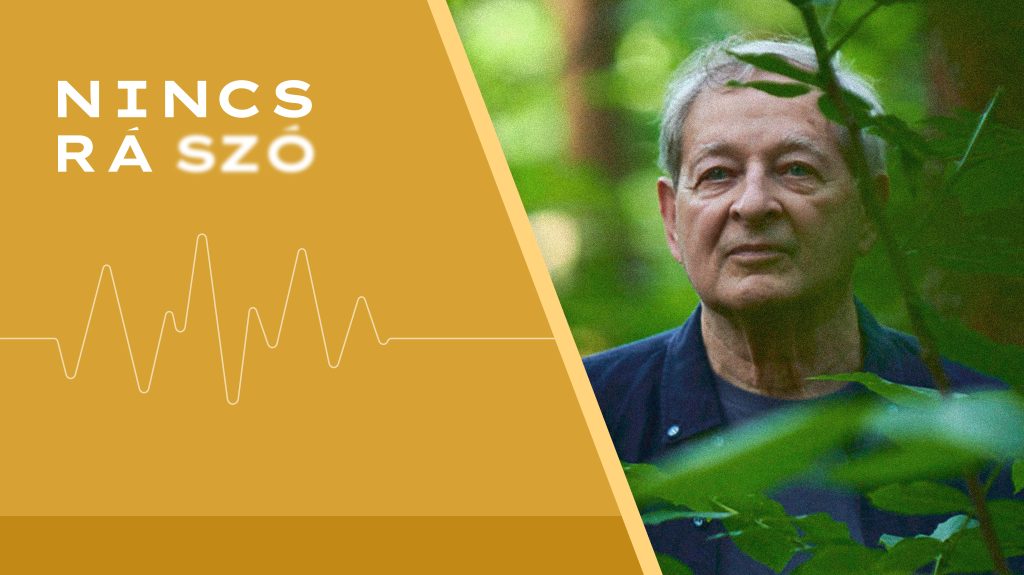 Nádas Péter: A gyászbeszéd egy szerelmi vallomás