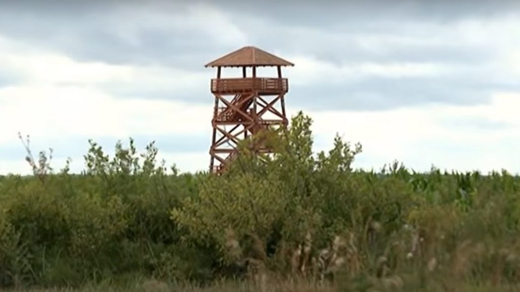 200 millió EU-s pénzből épült 11 kilátó Szabolcsban, mára többet lebontottak, egyikben varjú fészkel