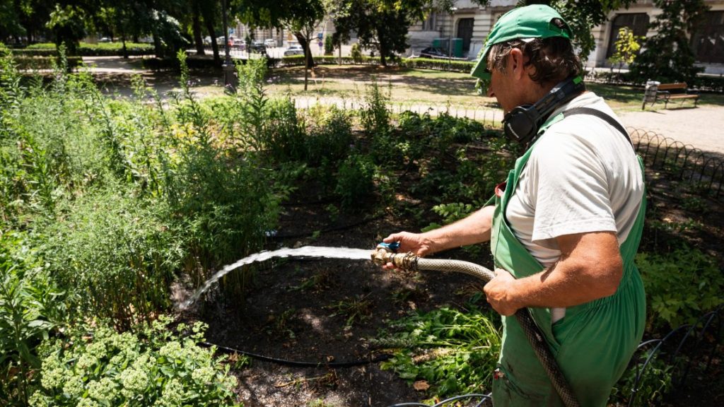 Így kaphatnak amnesztiát az illegálisan fúrt kutak