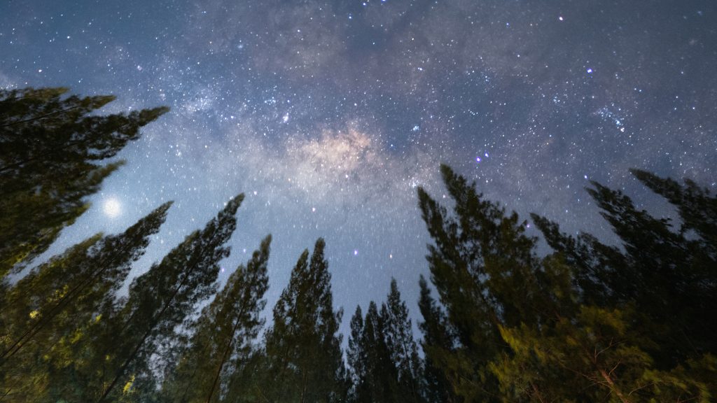 Csillaghullás lesz a hétvégén