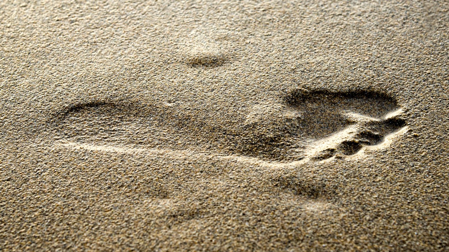 300 ezer éves emberi lábnyomokra bukkantak | 24.hu