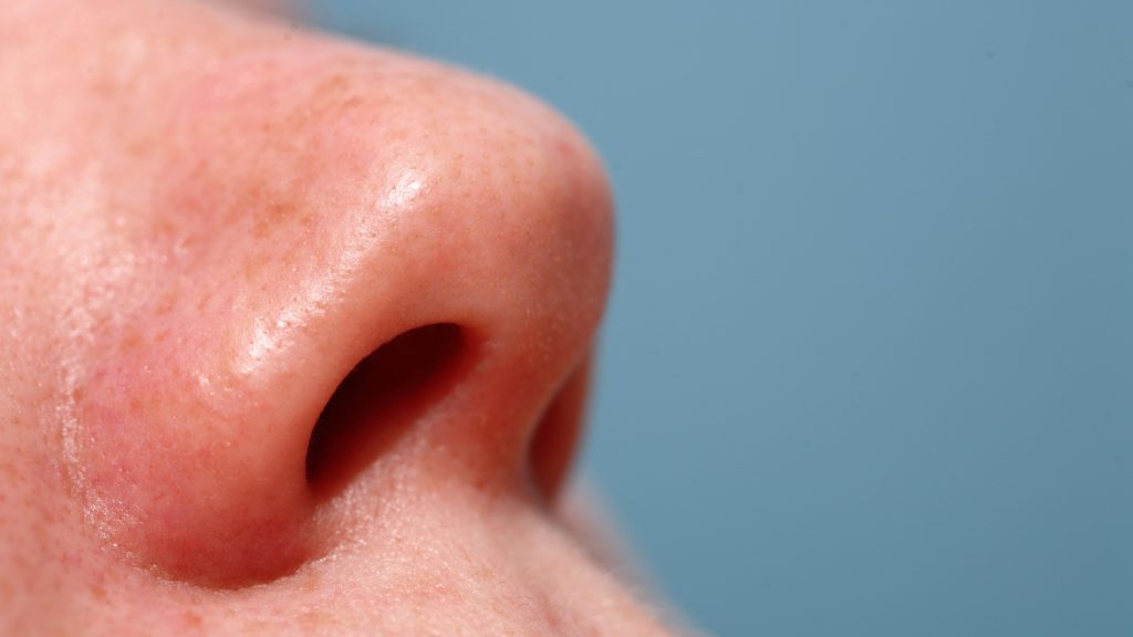 Neandervölgyi gének befolyásolhatják az orr alakját