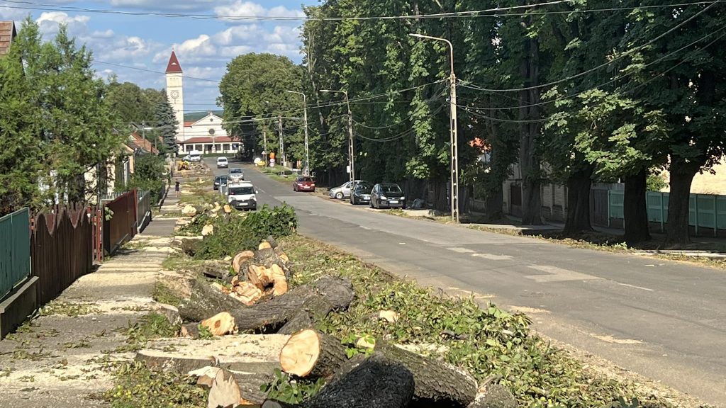 100 éves fasort taroltak le Dombóváron