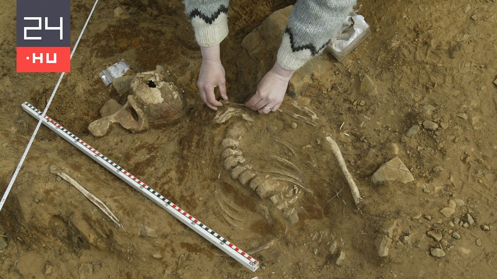 кот археолог. погребение и курган археология. курган богомольные пески в астраханской области. археологические раскопки. атланты архиоло запретная археология.