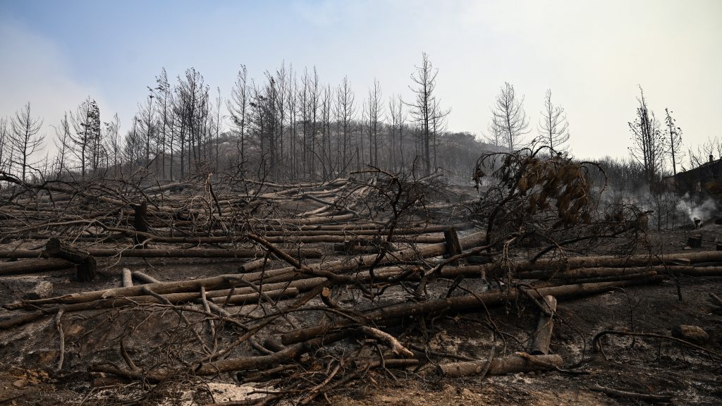 18 πτώματα βρέθηκαν στο σημείο της δασικής πυρκαγιάς στην Ελλάδα