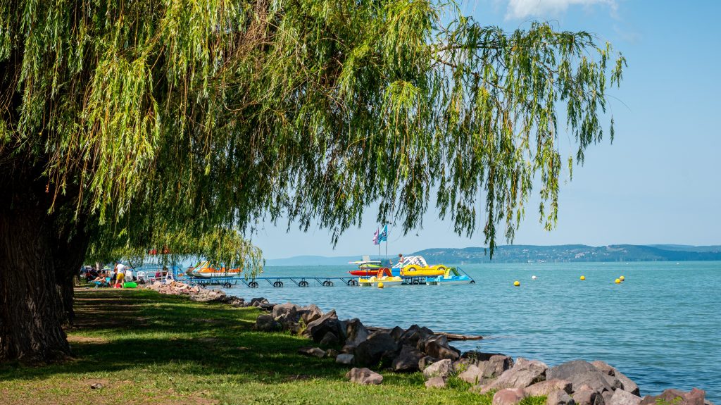 Bosszút akart állni a neki dolgozó nőn, ezért megosztott róla egy félmeztelen fotót