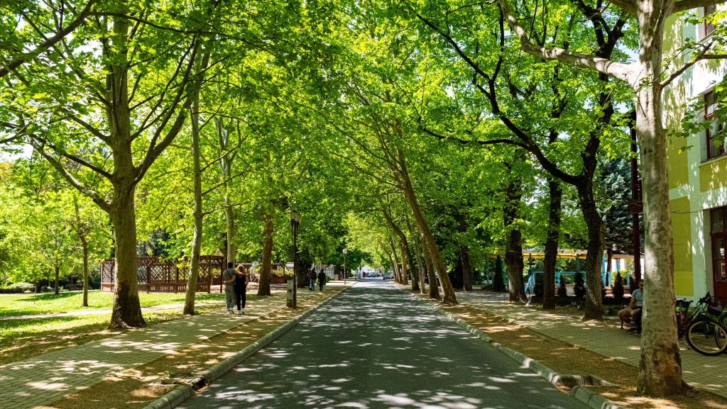 Egy arcát kendővel eltakaró férfi mutogatja a nemi szervét a siófoki járókelőknek