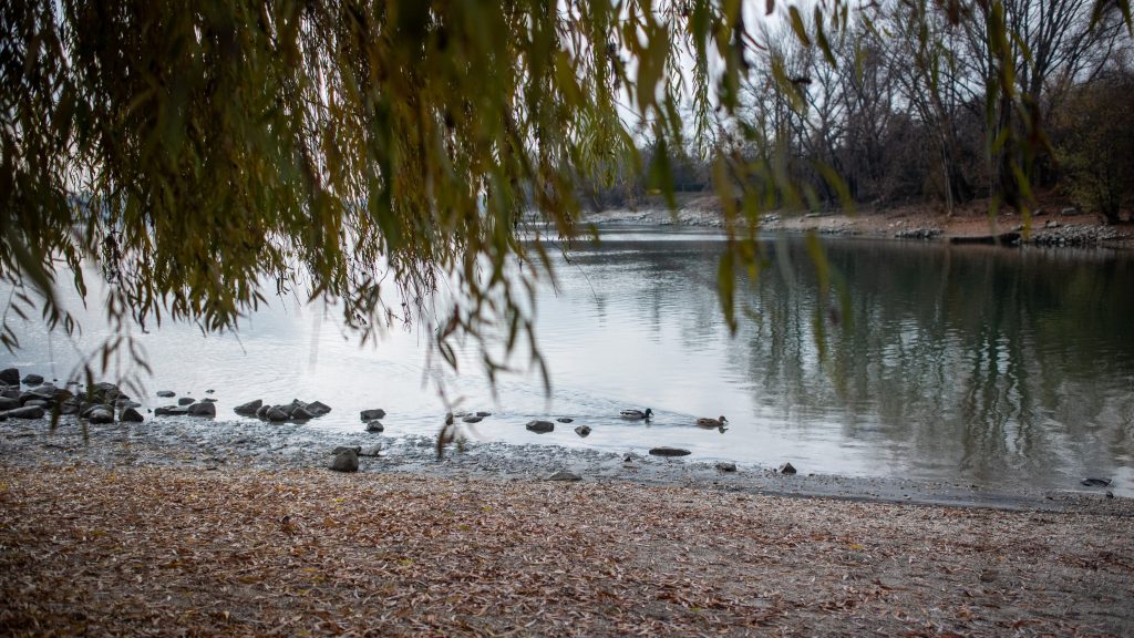 Holttestet találtak a Kopaszi-gátnál, a múlt kedden Margit hídról leugró férfié lehet