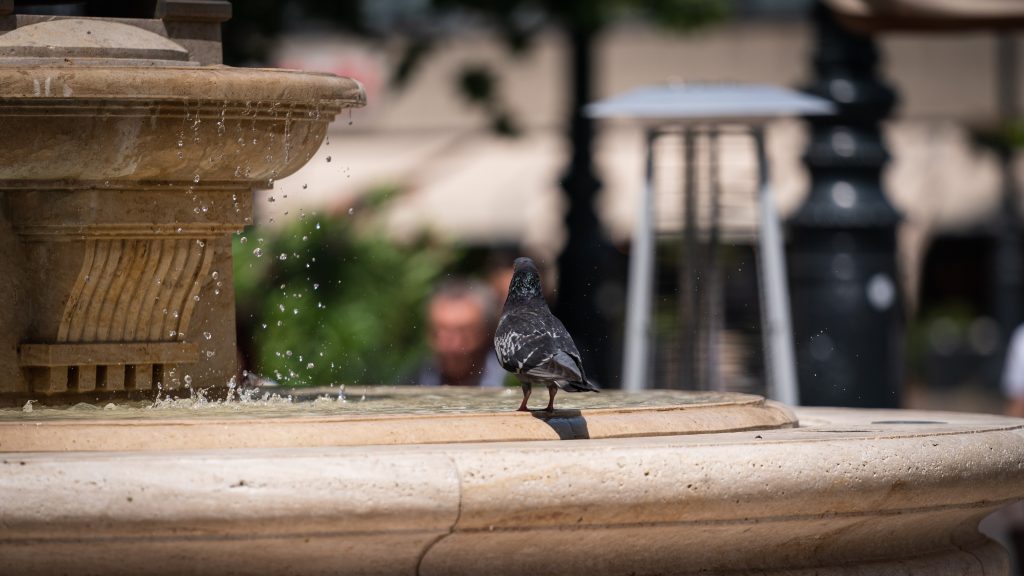 Sok napsütéssel telik a csütörtök