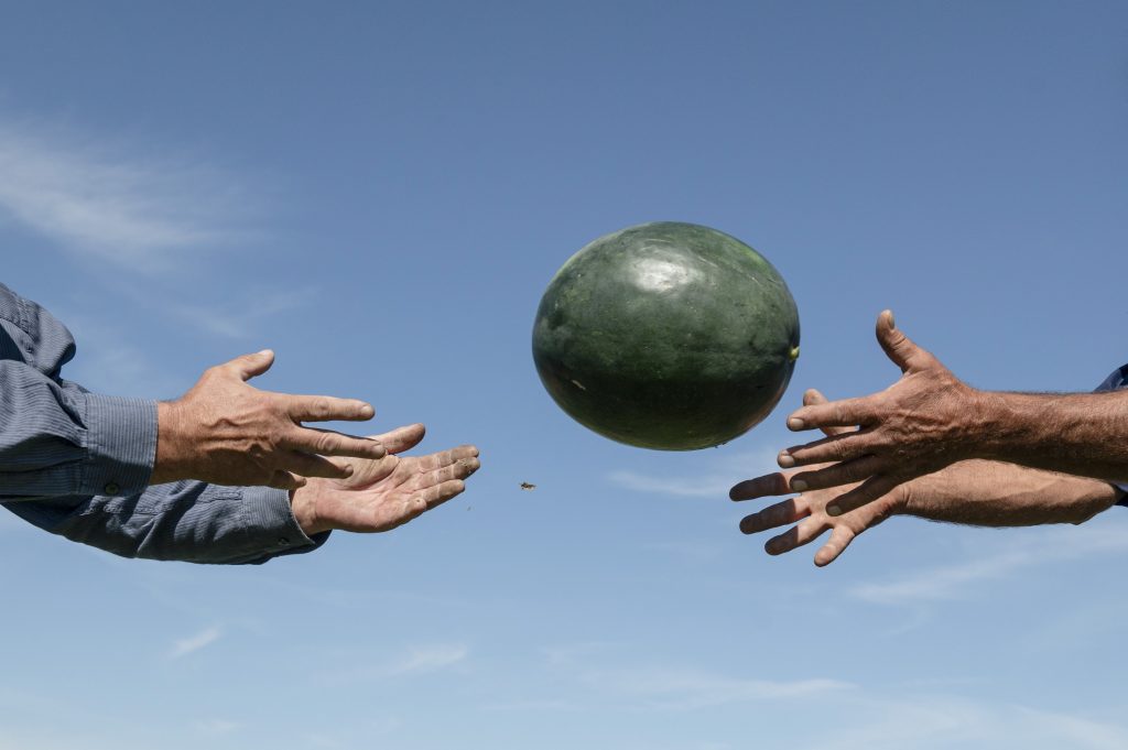 Lőrinc tényleg belepisil a dinnyébe?