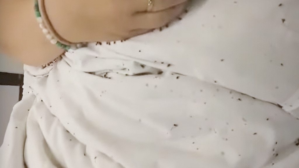 Beborítják az ágyi poloskák az ápoltat a mentális betegek szentgotthárdi otthonában – videó