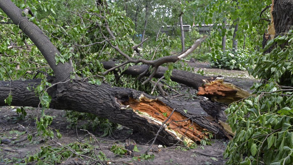 Budapesten több útszakaszon is áll a víz, Máriapócson egy ház lakhatatlanná vált