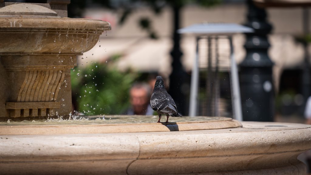 Napos, mérsékelten meleg idő lesz pénteken