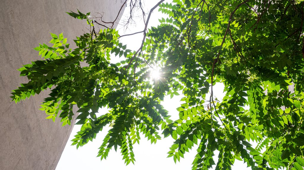 Még egy kicsit kitart a nyár szeptember első napjaiban