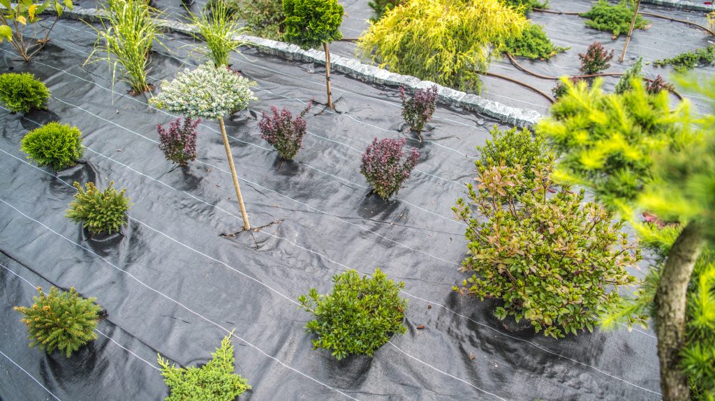 Ellopta a szomszéd a rendelését, majd el akarta neki adni