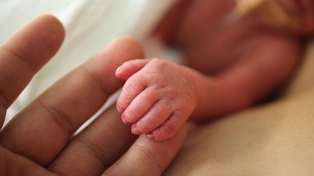 Győrfi Pál tételesen cáfolta az ATV-nek nyilatkozó pár állításait