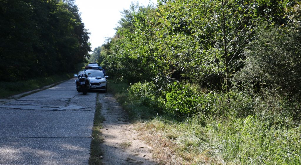 Fáknak csapódott és meghalt egy 47 éves nő Somogy vármegyében