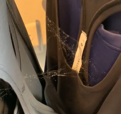 Ruhát válogatott, egy fekete özvegy nézett szembe vele