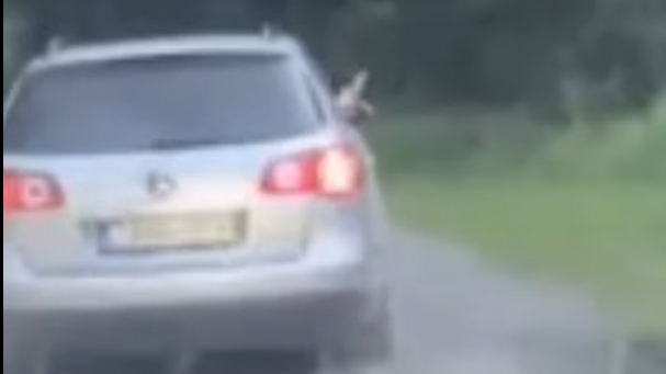 Videó: Kilógatta a lábait az ablakon, miközben társa menekült a zsolnai rendőrök elől