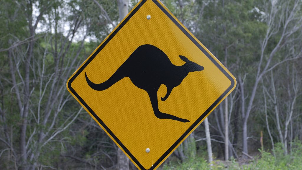 Videóra vette, ahogy megmenti a kutyáját egy kengurutól, ami éppen vízbe akarta fojtani