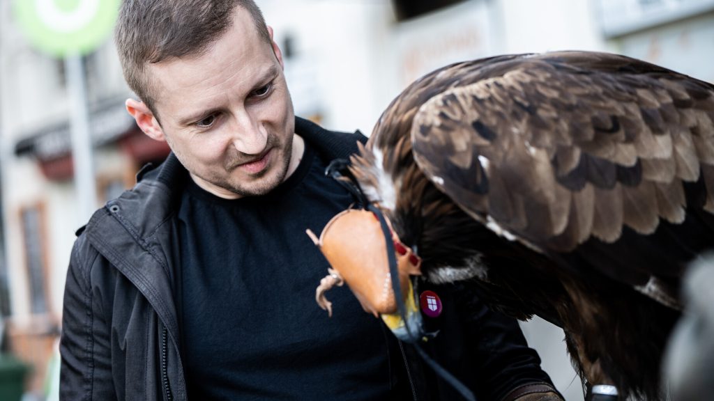 Sassal és kukoricával harcol a terézvárosi önkormányzat a galambterror ellen