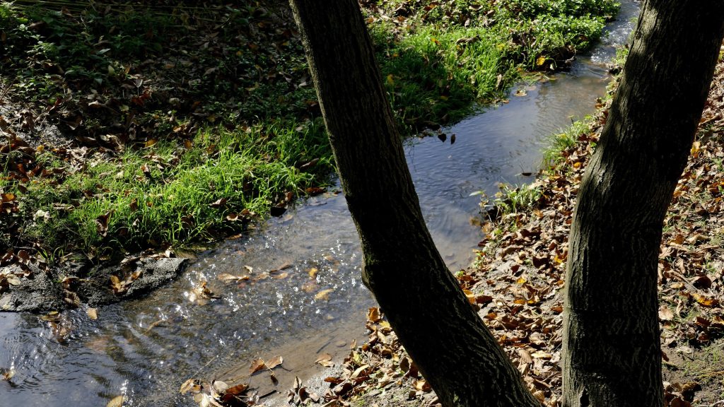 Túlnyomóan napos idővel telik október első hete