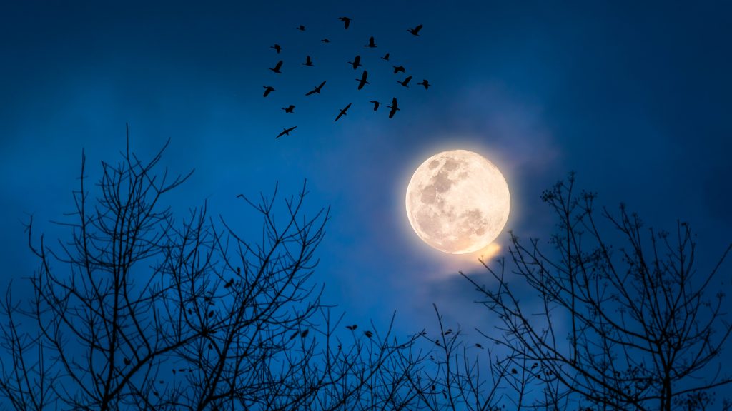 Ha azt gondoltad, már nem lehet para egy Halloween-jelmez, nézd meg ezt a kisfiút