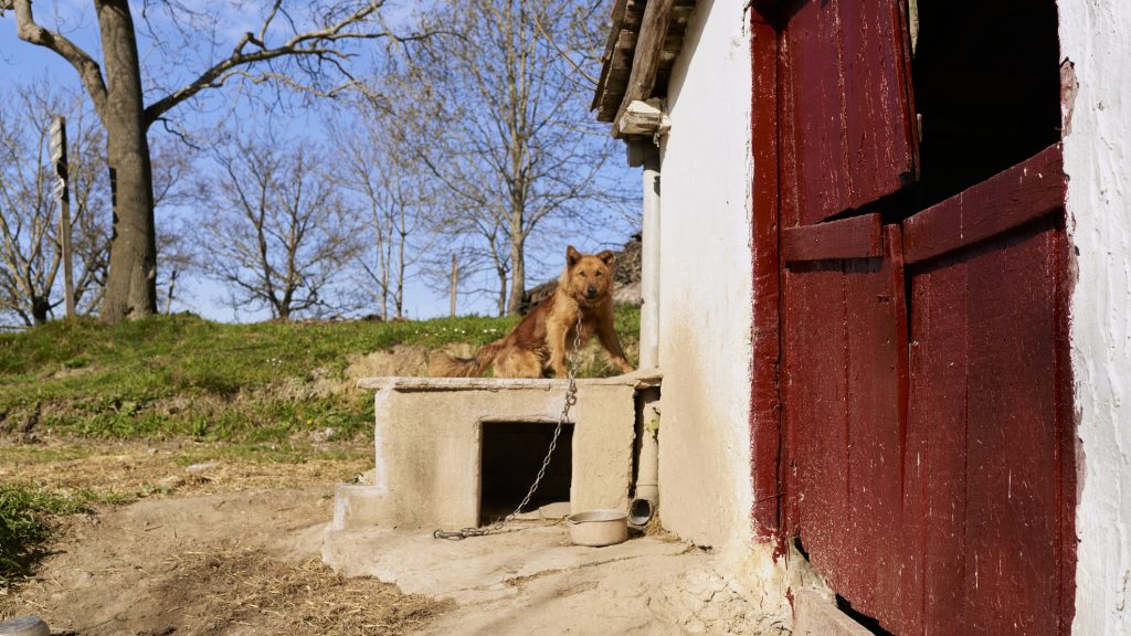 Gyanúsítottként hallgatták ki a Tömörkényen meghalt egy éves kisfiú anyját