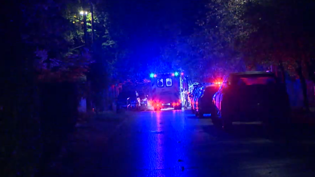 Kigyulladt egy családi ház Budakeszin, újra kellett éleszteni egy 10 év körüli kisfiút