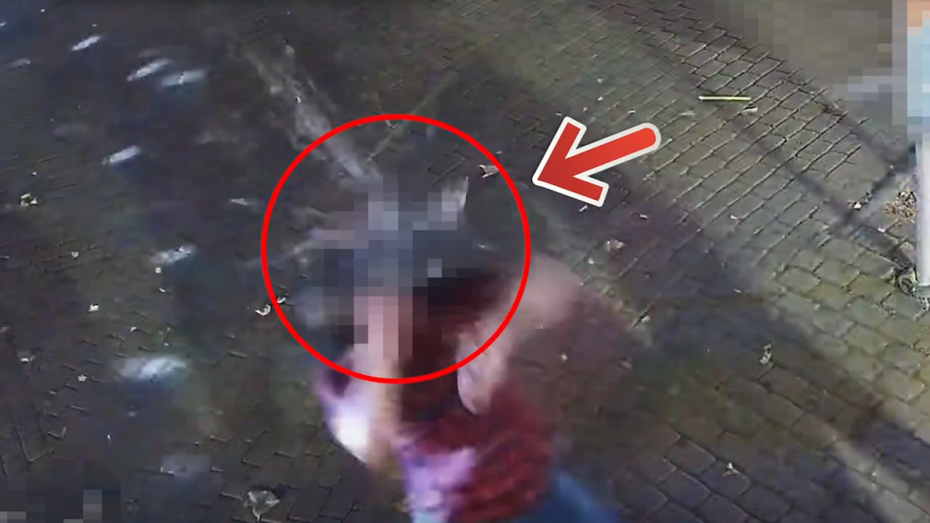 Egy éve ilyenkor: rosszabb ellenfélbe bele sem köthetett volna a Siófokon emberkedő férfi – videó