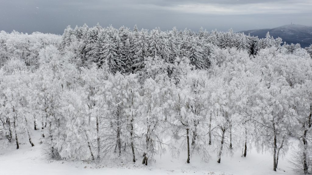 Közútkezelő: A havazás és az ónos eső miatt aki teheti, ne induljon útnak