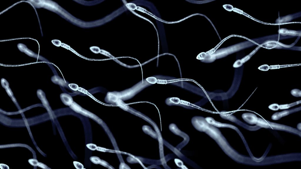 Kiderült: tényleg pusztítja a spermákat a mobiltelefon