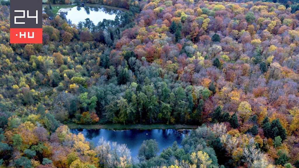 The most important news of the day November 9, 2023 Time News