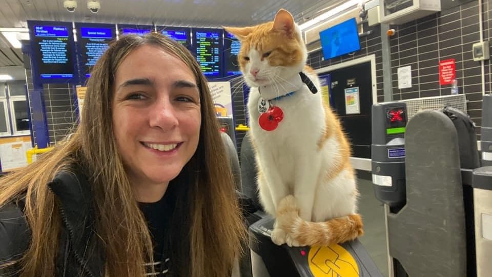 Karácsonyi kislemezt ad ki egy macska Angliában