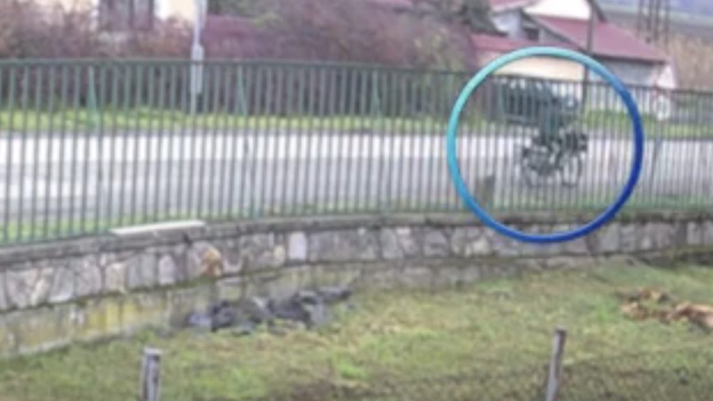 Szétmarcangolt egy kutya egy postást Apcon – videó csak erős idegzetűeknek