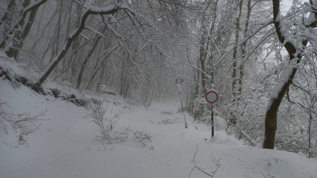 Veszélyhelyzetre figyelmeztetnek a Pilisi Parkerdőben