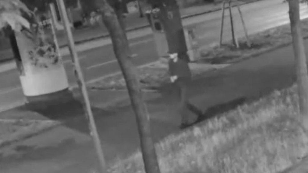 Dühös volt a világra, ezért ölt a magyar férfivel is végző 17 éves bécsi kettős gyilkos