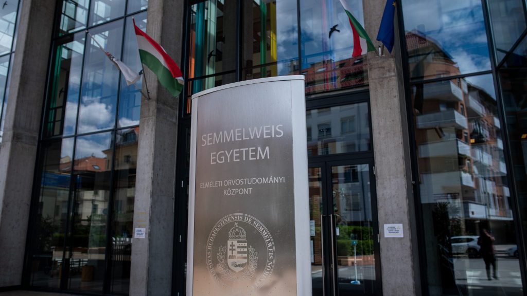 Népszava: kisgömböccé válhat a Semmelweis Egyetem