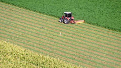 Sem szándéka, sem lehetősége nem volt a megállapodás teljesítésére, de elkért 12 millió forintot az átvert gazdától
