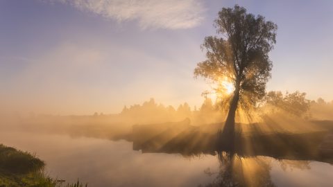 Kissé felhős, mégis tavaszi idővel zárul az év