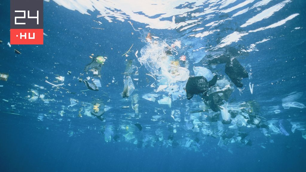 Hamarosan több műanyag lesz a tengerben, mint hal
