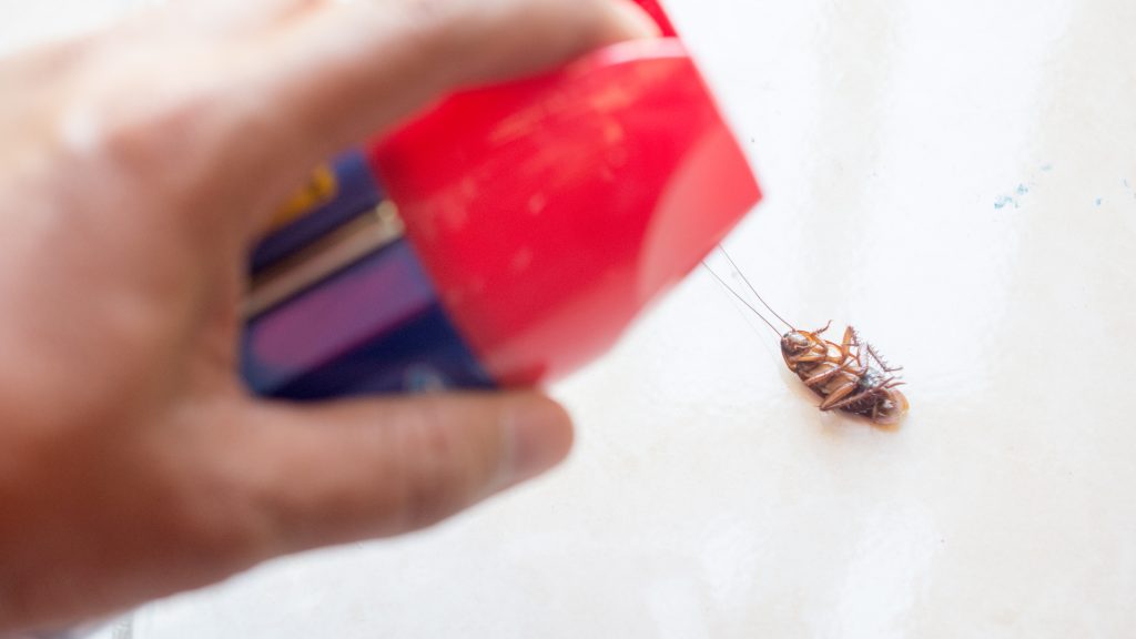 Végezni akart egy csótánnyal, berobbant a japán férfi lakása